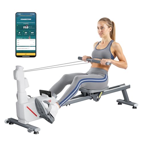 VEVOR Rameur Magnétique 16 niveaux 158 kg